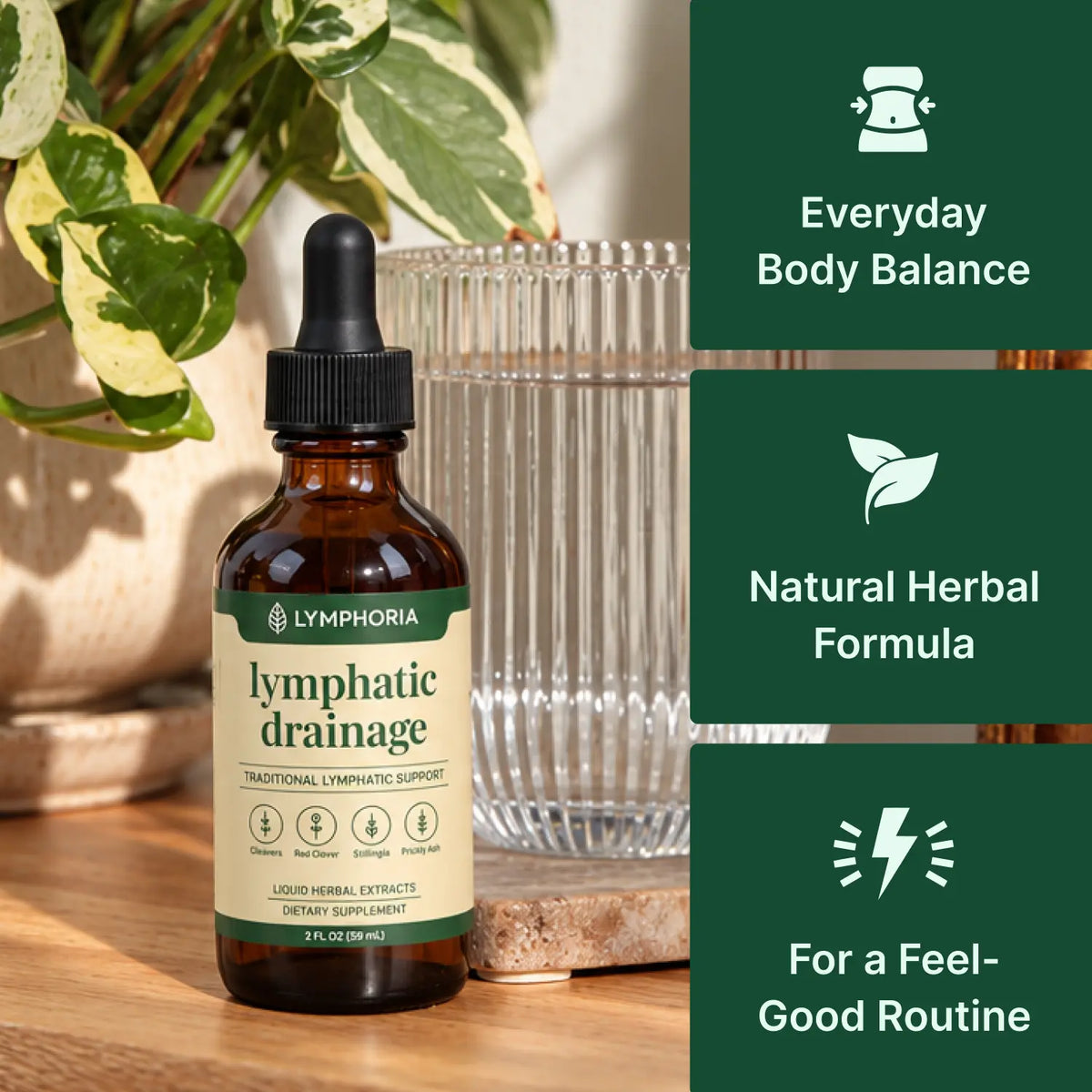 Lymphoria® Lymphatic Drainage Drops
